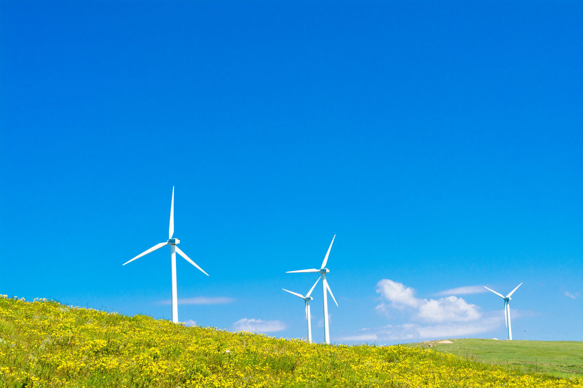 史作廷：努力推動實(shí)現(xiàn)碳達(dá)峰碳中和目標(biāo)